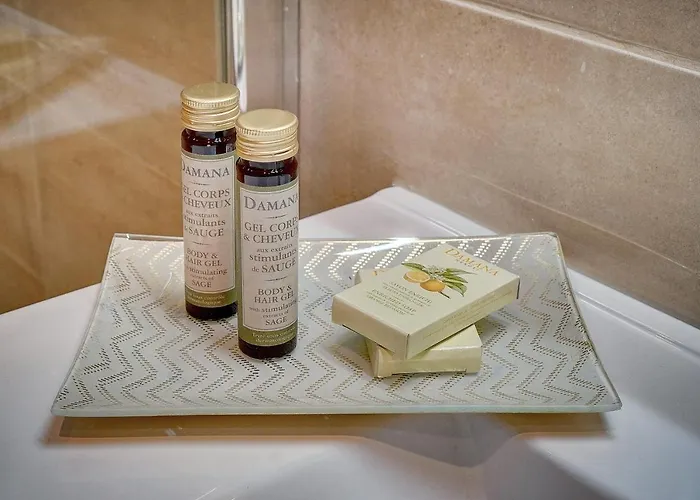 アパート Centre カンヌ